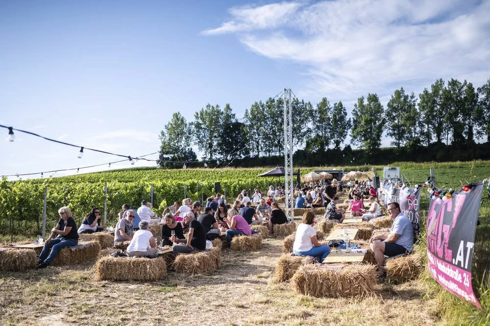 Sommerfest im Weingarten mit Musik, Wein und Genuss